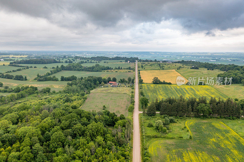 鸟瞰油菜籽田和乡村道路，Bradford West Gwillimbury，加拿大